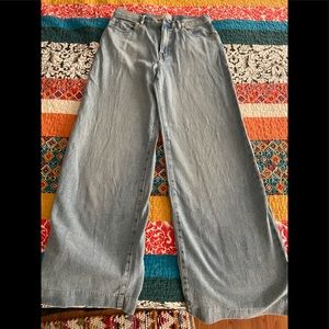 The summer wide leg Jean everlane NWOT size 26